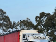 Naczepa do przewozu drobiu — bezpieczeństwo, higiena i wydajność w trasie